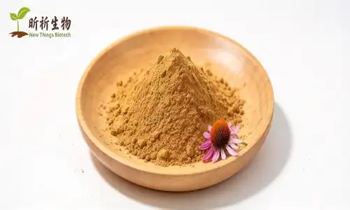 What Is Echinacea Extract Powder and How Does It Work?